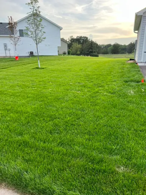 Lush green lawn in a residential area of Waconia