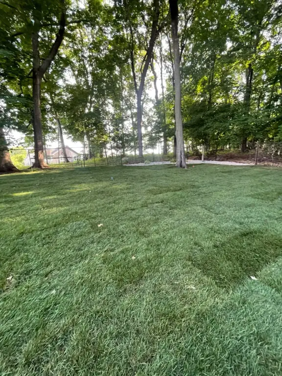 Landscape Design & Installation